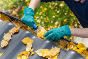 Someone with gloves on cleaning leaves out of the gutters