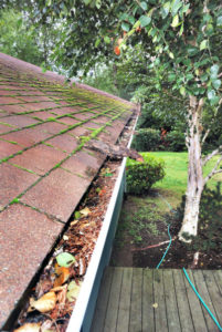 Leafproof Gutter Guard