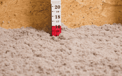 Florida Attic Insulation: Is it Worth it?